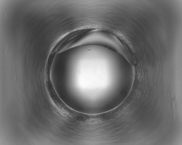 X0000065260536200602171457