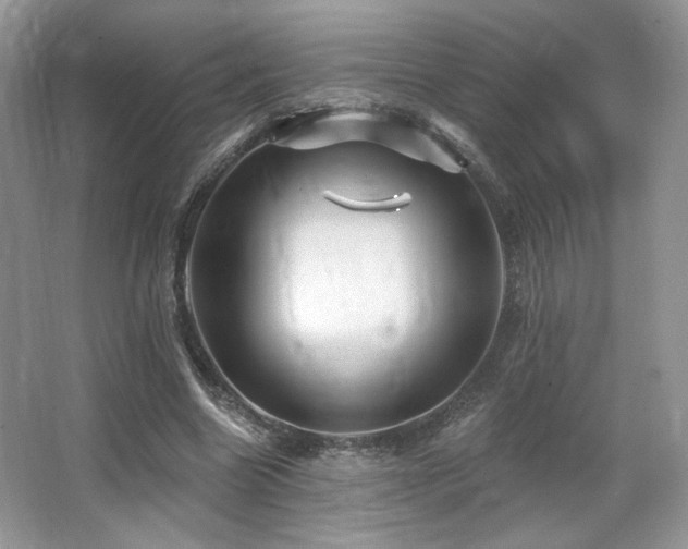 X0000065260538200602171457