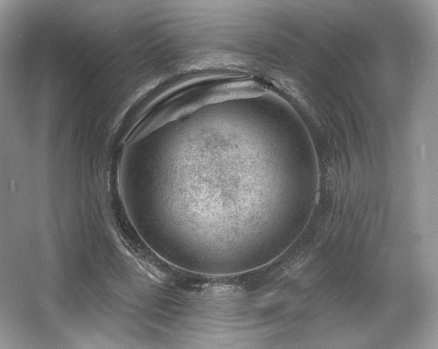 X0000065260539200602171457