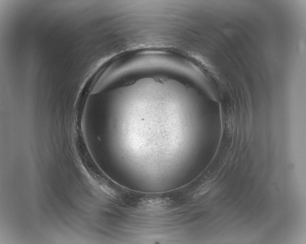 X0000065260540200602171457