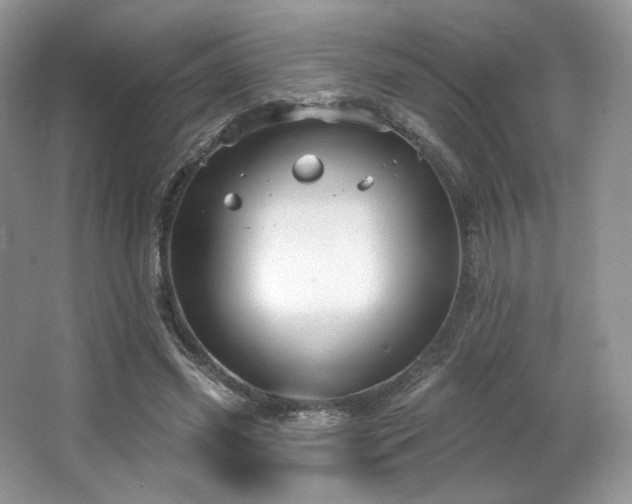 X0000065260541200602171457