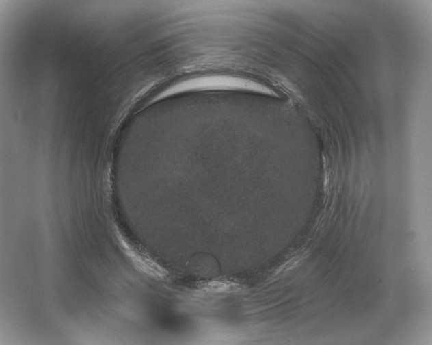 X0000065260542200602171457