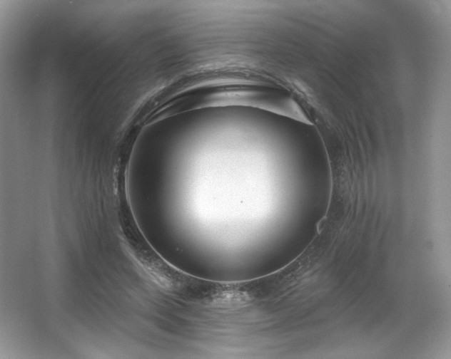 X0000065260543200602171457