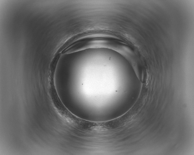 X0000065260544200602171457