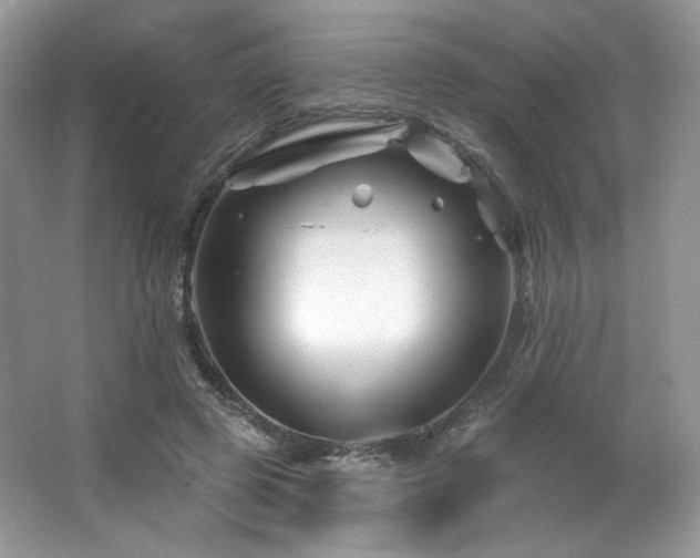 X0000065260545200602171457