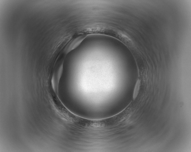 X0000065260546200602171457