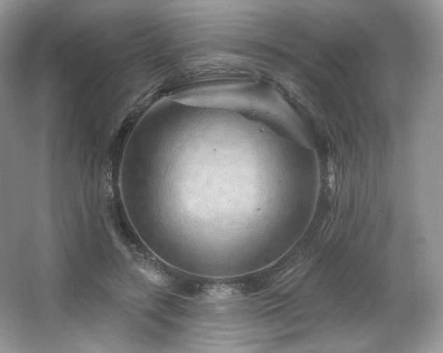 X0000065260547200602171457