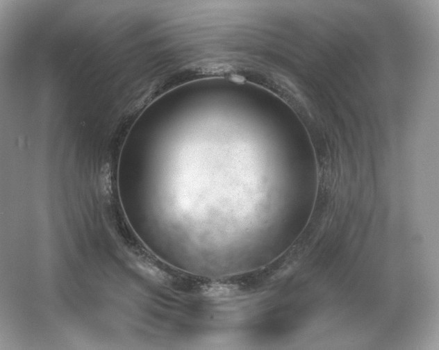 X0000065260549200602171457