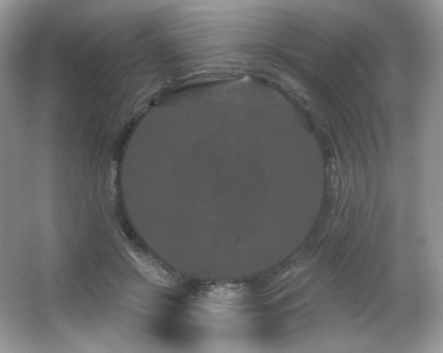 X0000065260550200602171457