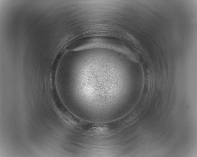 X0000065260552200602171457