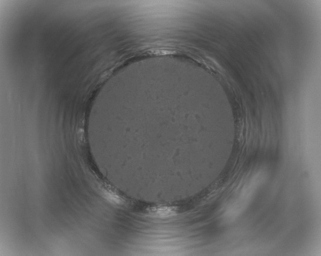 X0000065260553200602171457