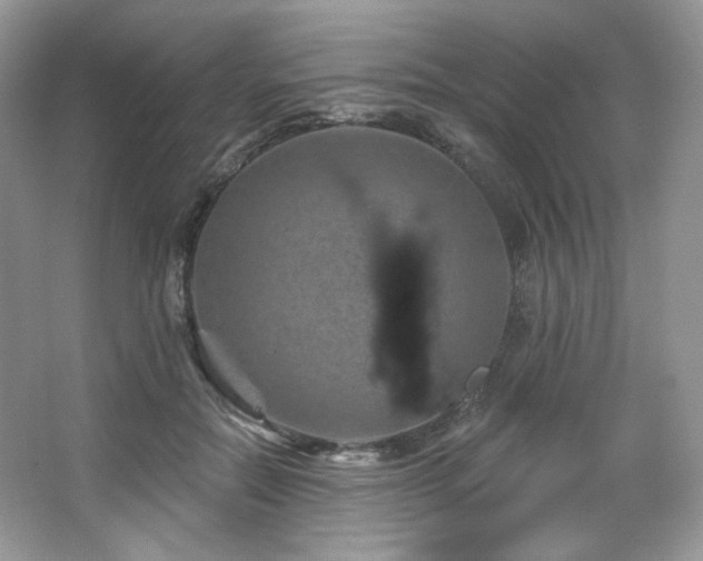 X0000065260554200602171457