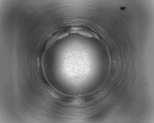 X0000065260555200602171457