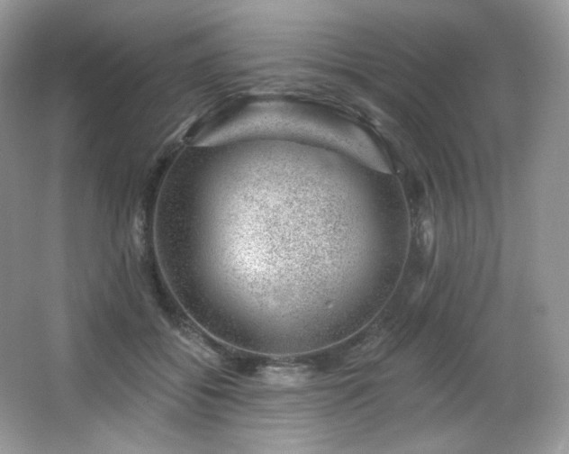 X0000065260556200602171457