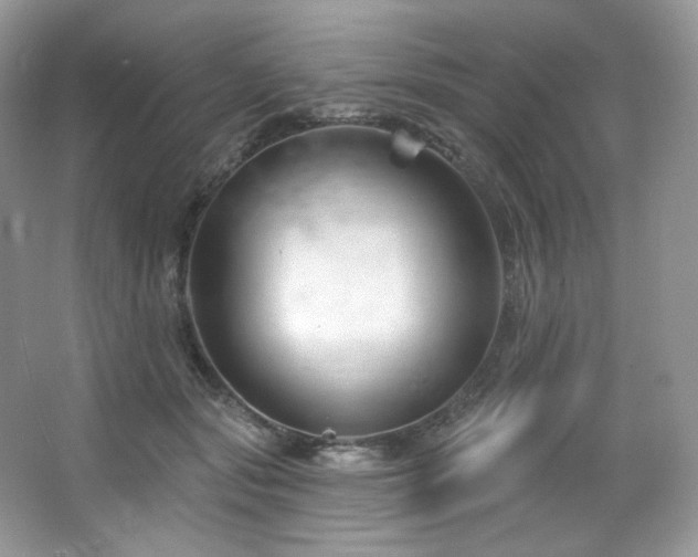 X0000065260557200602171457