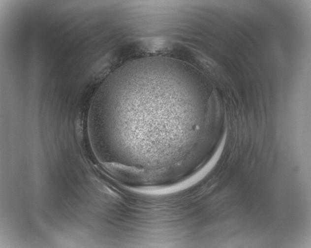 X0000065260558200602171457