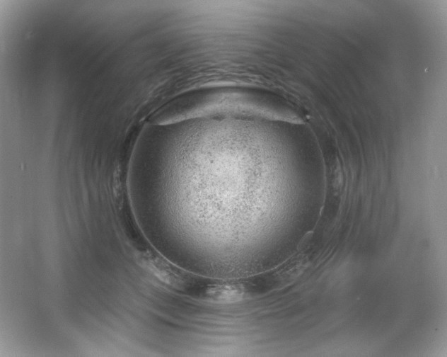 X0000065260559200602171457