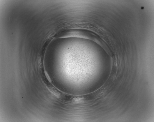 X0000065260560200602171457