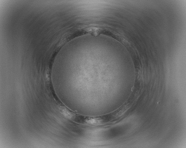 X0000065260561200602171457