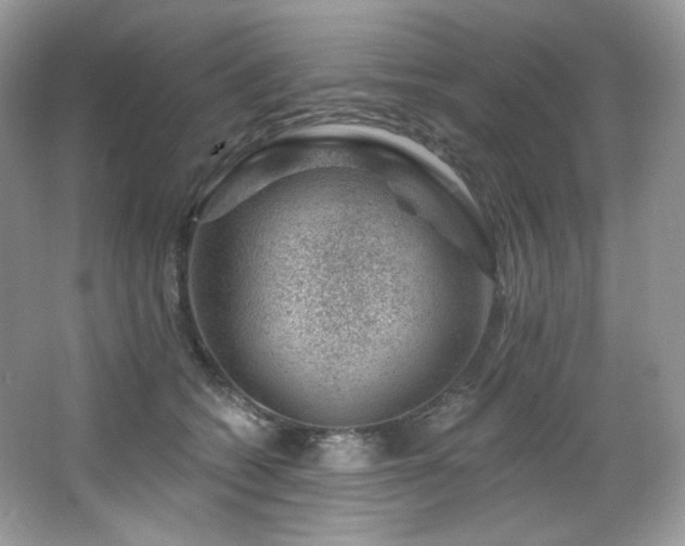 X0000065260562200602171457