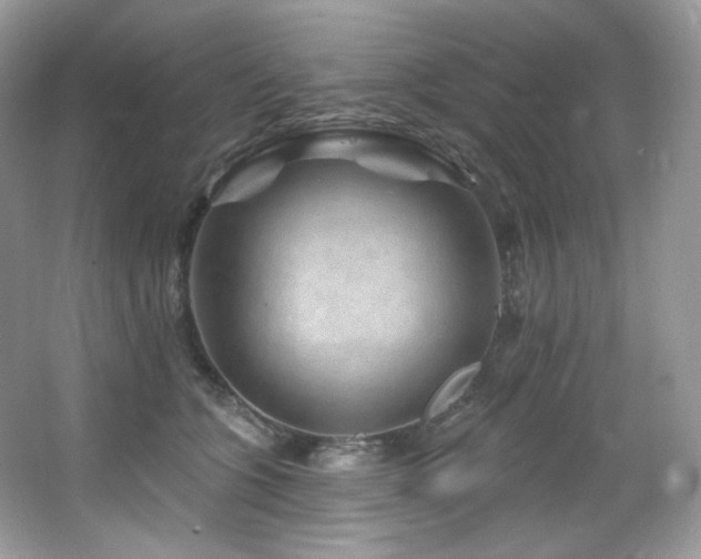 X0000065260563200602171457