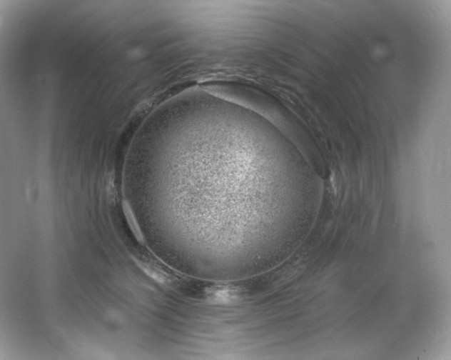 X0000065260564200602171457