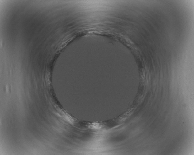 X0000065260565200602171457