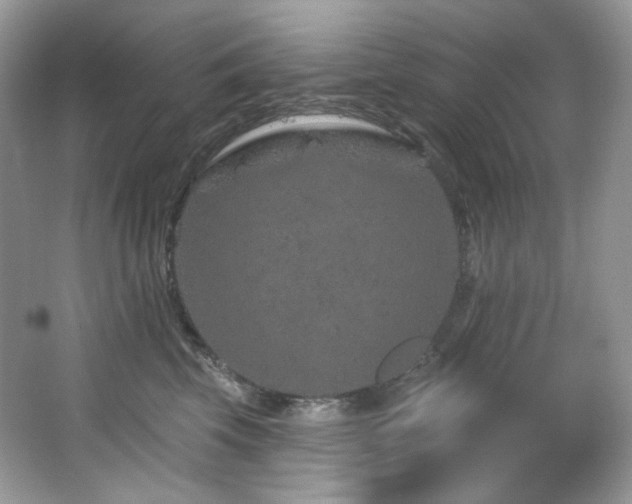 X0000065260569200602171458