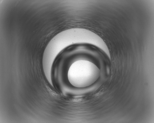 X0000065260570200602171458