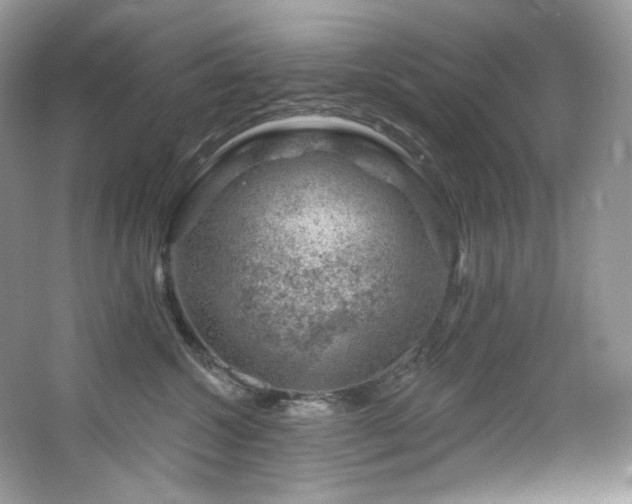 X0000065260572200602171458