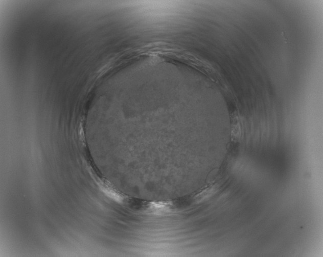 X0000065260573200602171458