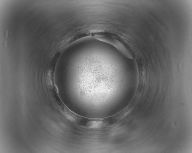 X0000065260575200602171458