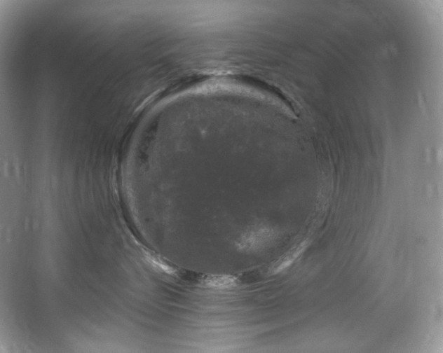 X0000065260576200602171458