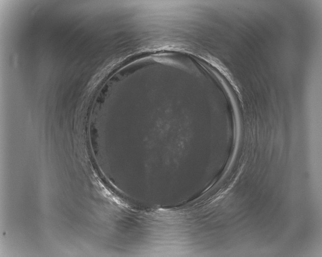 X0000065260577200602171457