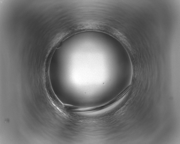 X0000065260578200602171457