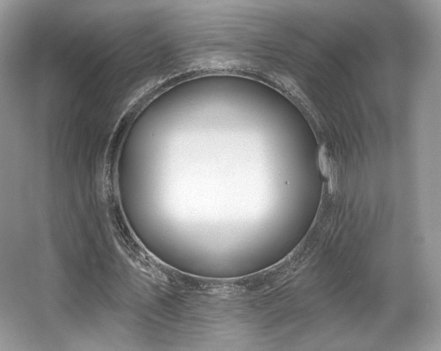 X0000065260579200602171457