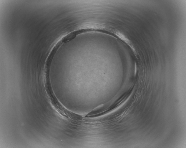 X0000065260580200602171457