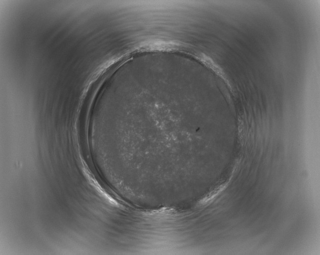 X0000065260581200602171457