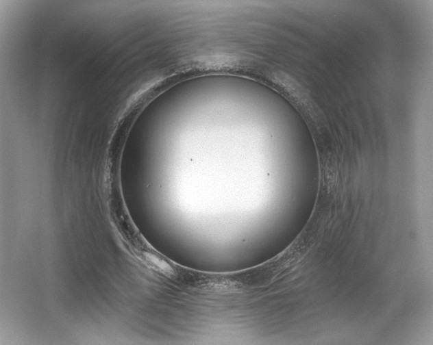 X0000065260583200602171457