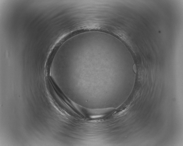 X0000065260584200602171457