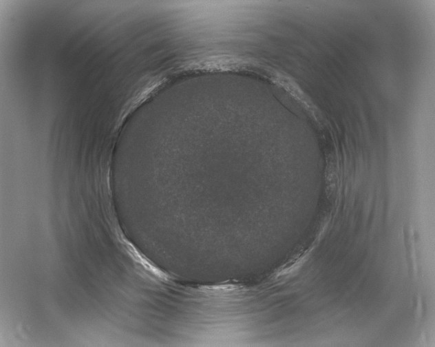 X0000065260585200602171457