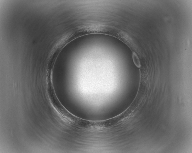 X0000065260586200602171457