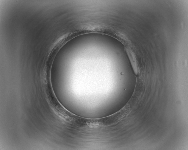 X0000065260587200602171457