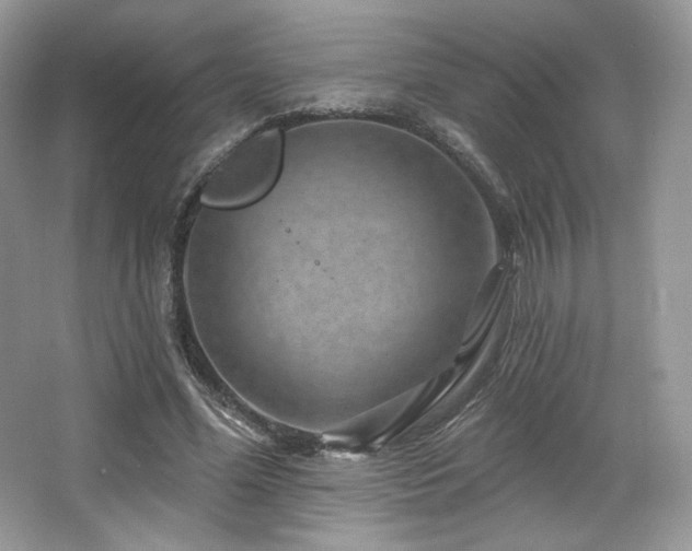 X0000065260588200602171457