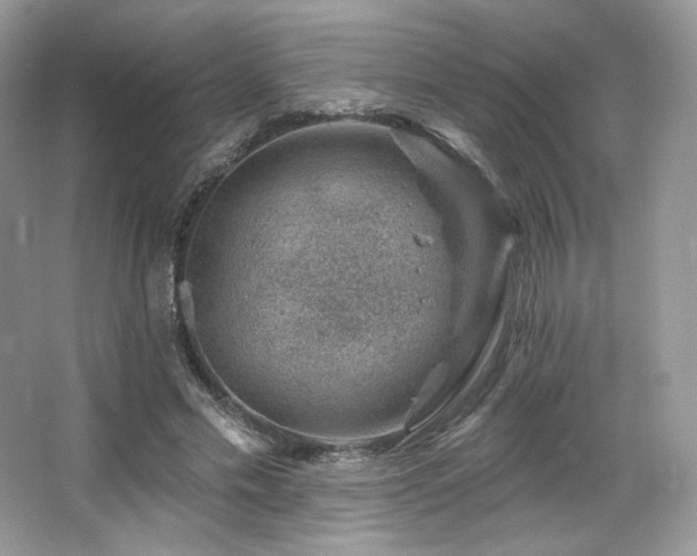 X0000065260589200602171457