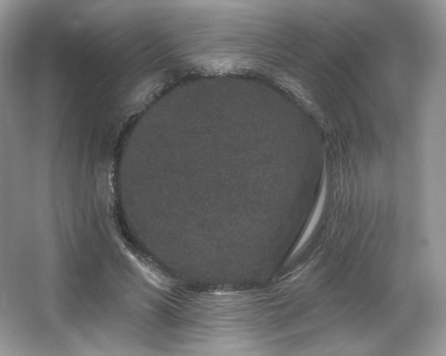 X0000065260590200602171457