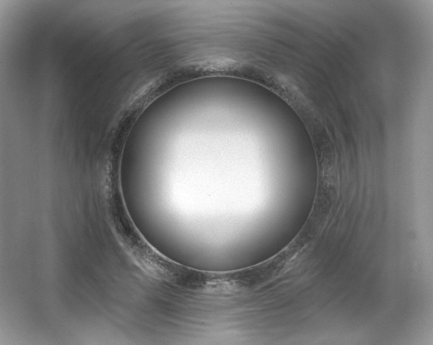 X0000065260591200602171457