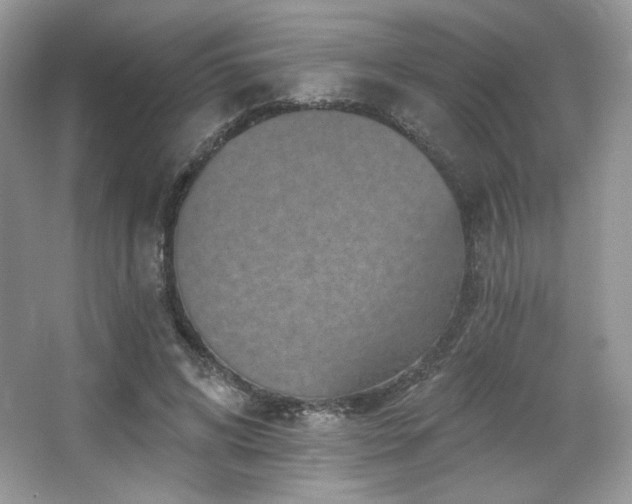 X0000065260592200602171457