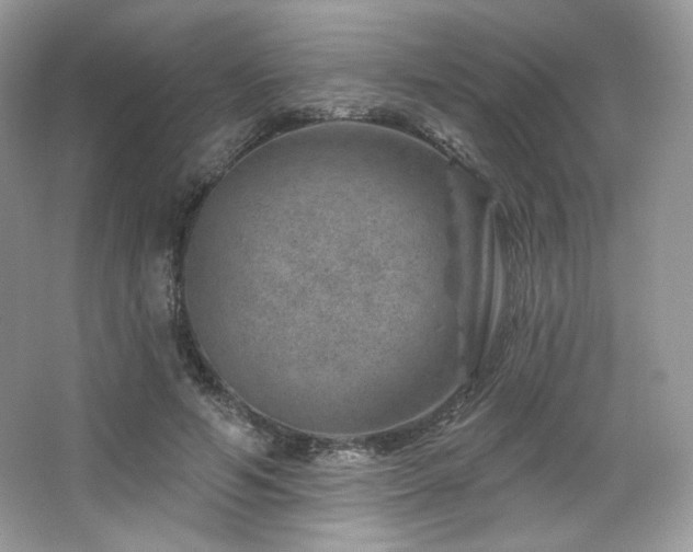 X0000065260594200602171456