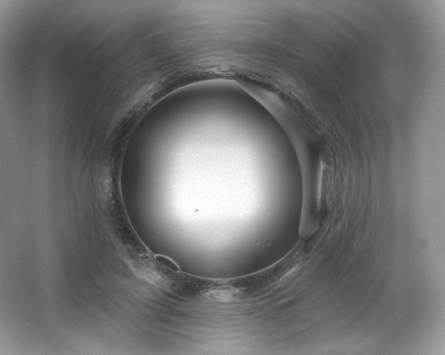 X0000065260595200602171456